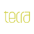 Tecra Systems Logo