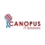 Canopus IT Solutions LLC Logo