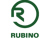 Rubino & Company, Chartered Logo