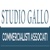 Studio Gallo Commercialisti Associati Logo