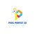 Pixel Perfect freelance digital marketing Agency Logo