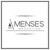 Amenses Innovation Pvt. Ltd. Logotype