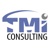 TMI Consulting, LLC Logo