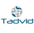 Tadvid Info Technologies Logotype