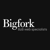 Bigfork Ltd Logo