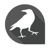 Crow Design Logo