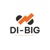 DI BIG LLC Logo