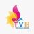 The Visual House Logotype