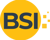 Business Software India Logo