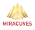Miracuves Solutions Pvt. Ltd. Logo