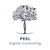 Peel Digital Consulting Logo