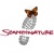 Scandinature Films USA Logo