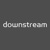 Downstream Logo