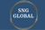 SNG Global solutions Logo