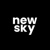 newskyagency Logo