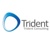 Trident Consulting Inc Logo