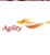 Agility Logo