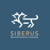 Siberus Logo