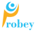 Probey Services Logo