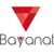 Bayanat Logo