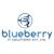 Blueberry IT Solutions Pvt Ltd Logo