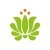 Ecoyaab S.A. DE C.V. Logotype