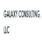 Galaxy Consulting, LLC Logo