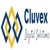 Cluvex Digital Solutions Logo