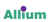 Allium – Salesforce.com & Technology Consulting