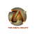 Zaisha Technologies Logo