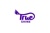 TRUE SHINE TECHNICAL SERVICES L.L.C Logo