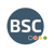 BSC Business Stratégie Conseils Logo