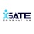 iGATE Consulting Logo