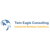 Twin Eagle Consulting, LLC