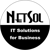 NetSol Co., Ltd. Logotype
