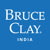Bruce Clay India Logo