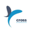Cross Accounting Service Logotype
