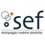 Sef s.r.l. Logotype