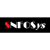 SNFOSys Inc. Logo