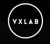 VXLAB Branding & Design Direction Logo