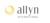 Allyn International Services Logo