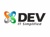 Dev Information Technology Ltd. Logo