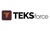 TEKSforce Logo