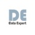 Data Expert Logo