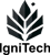 IgniTech GmbH Logotype