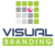 Visual Branding Logo