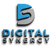 Digital Synergy Logo