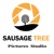 Sausage Tree Pictures Studio Logo