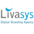Livasys IT Solution Logo