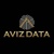 AVIZ DATA, LLC Logo